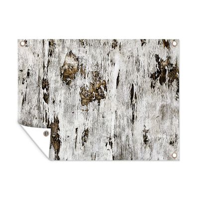 Outdoor-Poster Gartenposter 40x30 cm Birke - Weiß - Holz (Gr. 40x30 cm)