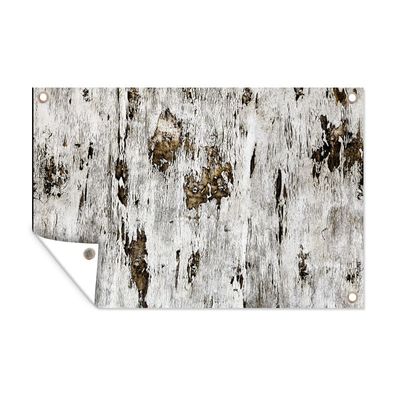 Outdoor-Poster Gartenposter 90x60 cm Birke - Weiß - Holz (Gr. 90x60 cm)