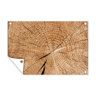 Outdoor-Poster Gartenposter 90x60 cm Baumstamm - Baumringe - Holz (Gr. 90x60 cm)