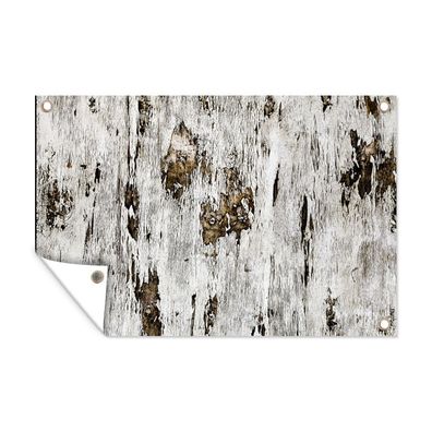 Outdoor-Poster Gartenposter 60x40 cm Birke - Weiß - Holz (Gr. 60x40 cm)