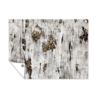 Outdoor-Poster Gartenposter 40x30 cm Birke - Weiß - Holz (Gr. 40x30 cm)