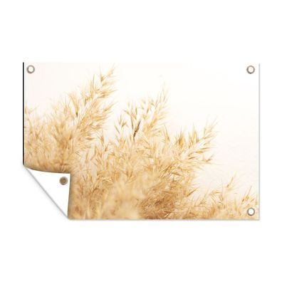 Outdoor-Poster Gartenposter 90x60 cm Weizen - Natur - Sonne (Gr. 90x60 cm)