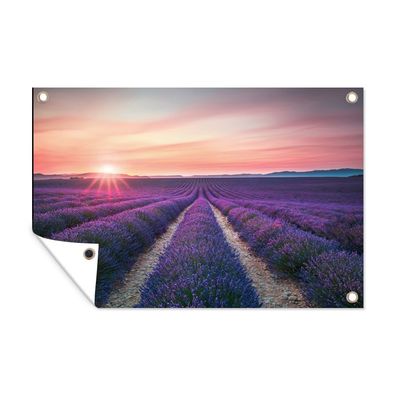 Outdoor-Poster Gartenposter 60x40 cm Lavendel - Lila - Blumen (Gr. 60x40 cm)