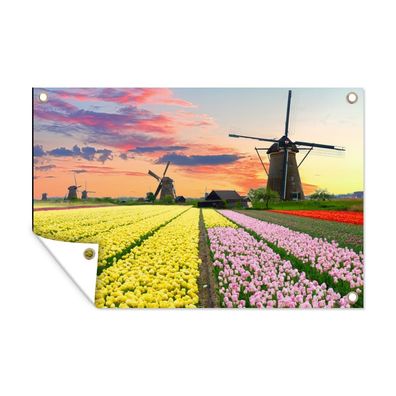 Outdoor-Poster Gartenposter 120x80 cm Tulpen - Windmühle - Natur (Gr. 120x80 cm)