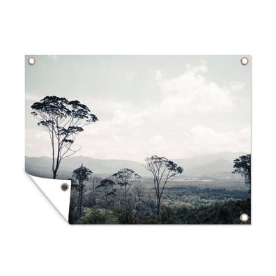 Outdoor-Poster Gartenposter 40x30 cm Bäume - Luft - Natur (Gr. 40x30 cm)