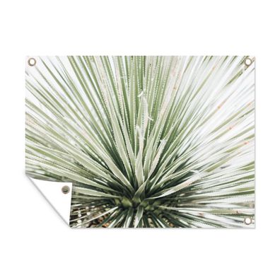 Outdoor-Poster Gartenposter 80x60 cm Grün - Blätter - Natur (Gr. 80x60 cm)