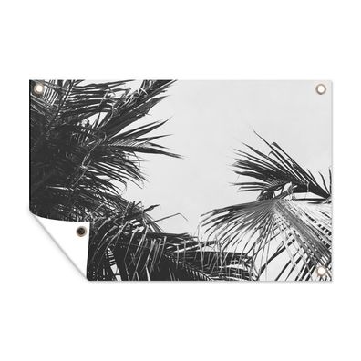 Outdoor-Poster Gartenposter 120x80 cm Palmwedel - Natur - Vintage - Palme
