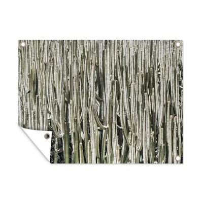 Outdoor-Poster Gartenposter 40x30 cm Kaktus - Natur - Sukkulenten (Gr. 40x30 cm)