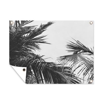 Outdoor-Poster Gartenposter 120x90 cm Palmwedel - Natur - Vintage - Palme