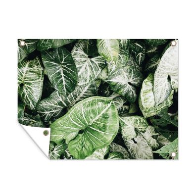 Outdoor-Poster Gartenposter 80x60 cm Blätter - Pflanzen - Natur (Gr. 80x60 cm)