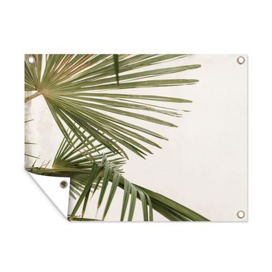 Outdoor-Poster Gartenposter 80x60 cm Palmwedel - Grün - Natur (Gr. 80x60 cm)
