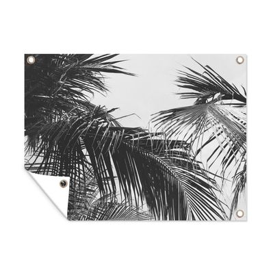 Outdoor-Poster Gartenposter 120x90 cm Palmwedel - Natur - Vintage - Palme