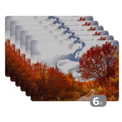 Placemats Tischset 6-teilig 45x30 cm Baum - Weg - Herbst (Gr. 45x30 cm)