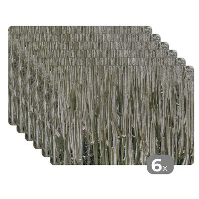 Placemats Tischset 6-teilig 45x30 cm Kaktus - Natur - Sukkulenten (Gr. 45x30 cm)