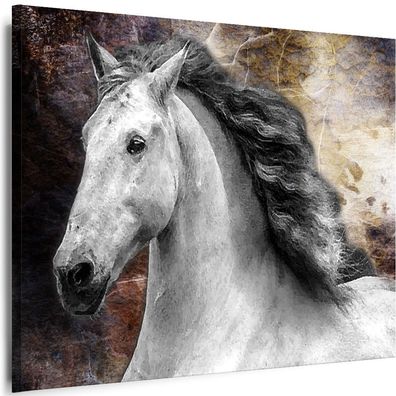 Bilder Leinwand Pferde Natur Tiere Wandbilder XXL