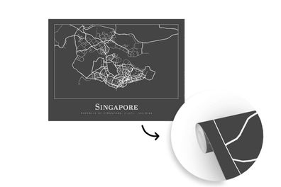 Tapete Fototapete - 275x220 cm Singapur - Karte - Stadtplan (Gr. 275x220 cm)