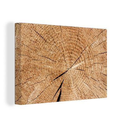 Leinwandbilder - Wanddeko 60x40 cm Baumstamm - Baumringe - Holz (Gr. 60x40 cm)