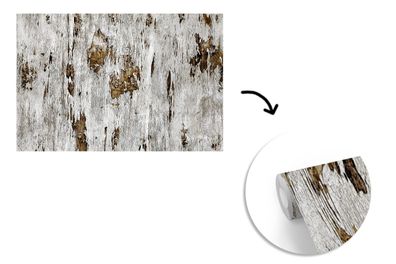 Tapete Fototapete - 400x240 cm Birke - Weiß - Holz (Gr. 400x240 cm)