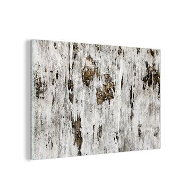 Glasbild Glasfoto Wandbild 90x60 cm Birke - Weiß - Holz (Gr. 90x60 cm)