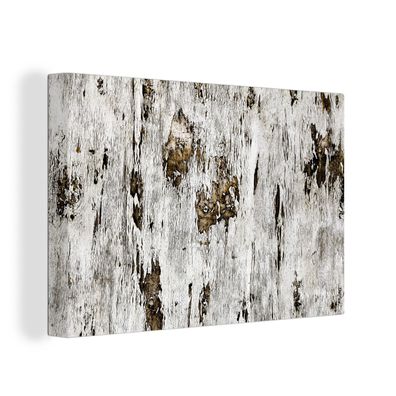 Leinwandbilder - Wanddeko 30x20 cm Birke - Weiß - Holz (Gr. 30x20 cm)