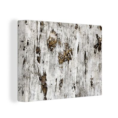 Leinwandbilder - Wanddeko 40x30 cm Birke - Weiß - Holz (Gr. 40x30 cm)
