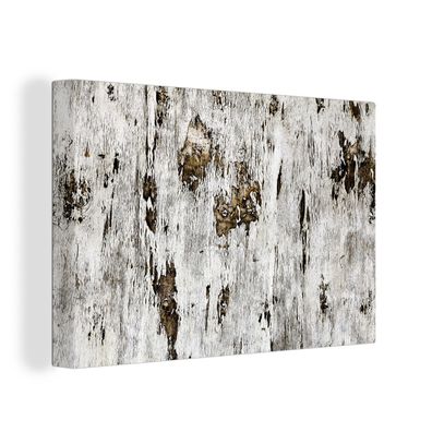 Leinwandbilder - Wanddeko 90x60 cm Birke - Weiß - Holz (Gr. 90x60 cm)