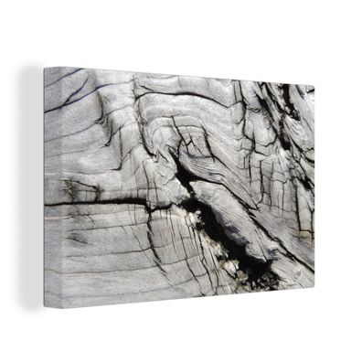 Leinwandbilder - Wanddeko 140x90 cm Nerf - Weiß - Holz - Baumstamm (Gr. 140x90 cm)