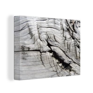 Leinwandbilder - Wanddeko 120x90 cm Nerf - Weiß - Holz - Baumstamm (Gr. 120x90 cm)