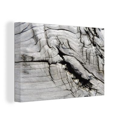 Leinwandbilder - Wanddeko 90x60 cm Nerf - Weiß - Holz - Baumstamm (Gr. 90x60 cm)