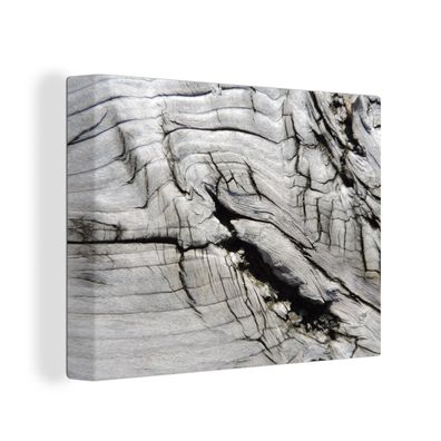 Leinwandbilder - Wanddeko 80x60 cm Nerf - Weiß - Holz - Baumstamm (Gr. 80x60 cm)