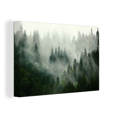 Leinwandbilder - Wanddeko 140x90 cm Wald - Nebel - Bäume - Natur (Gr. 140x90 cm)