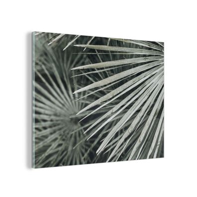 Glasbild Glasfoto Wandbild 80x60 cm Blätter - Grün - Palme (Gr. 80x60 cm)