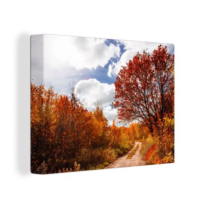 Leinwandbilder - Wanddeko 120x90 cm Baum - Weg - Herbst (Gr. 120x90 cm)