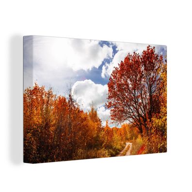 Leinwandbilder - Wanddeko 60x40 cm Baum - Weg - Herbst (Gr. 60x40 cm)