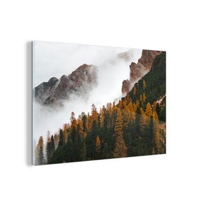 Glasbild Glasfoto Wandbild 90x60 cm Berg - Nebel - Wald (Gr. 90x60 cm)