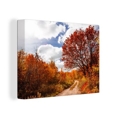 Leinwandbilder - Wanddeko 80x60 cm Baum - Weg - Herbst (Gr. 80x60 cm)