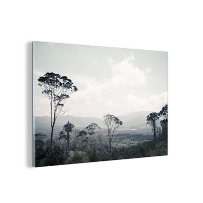Glasbild Glasfoto Wandbild 60x40 cm Bäume - Luft - Natur (Gr. 60x40 cm)