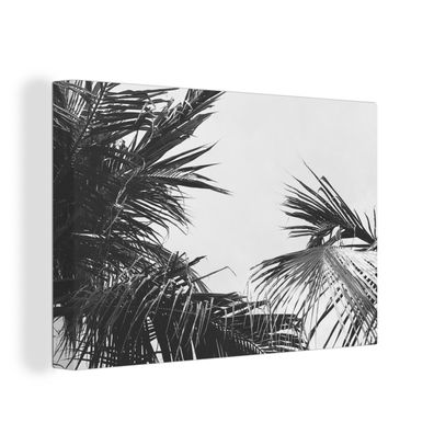 Leinwandbilder - Wanddeko 120x80 cm Palmwedel - Natur - Vintage - Palme