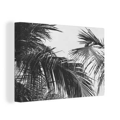 Leinwandbilder - Wanddeko 150x100 cm Palmwedel - Natur - Vintage - Palme