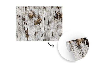 Tapete Fototapete - 350x260 cm Birke - Weiß - Holz (Gr. 350x260 cm)