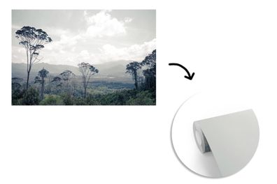 Tapete Fototapete - 400x240 cm Bäume - Luft - Natur (Gr. 400x240 cm)