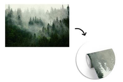Tapete Fototapete - 390x260 cm Wald - Nebel - Bäume - Natur (Gr. 390x260 cm)