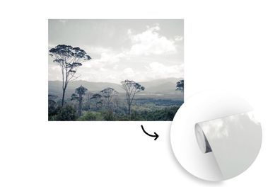Tapete Fototapete - 300x240 cm Bäume - Luft - Natur (Gr. 300x240 cm)