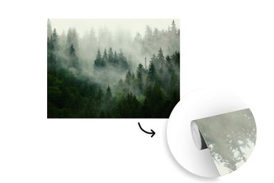Tapete Fototapete - 400x300 cm Wald - Nebel - Bäume - Natur (Gr. 400x300 cm)