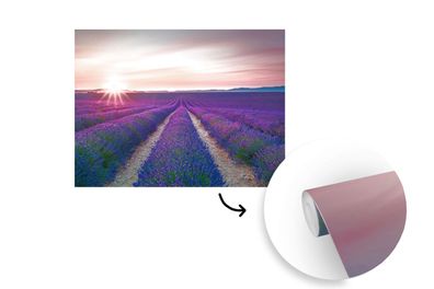 Tapete Fototapete - 400x300 cm Lavendel - Lila - Blumen (Gr. 400x300 cm)