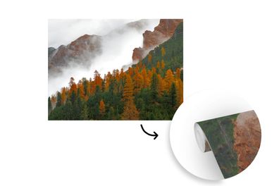 Tapete Fototapete - 375x300 cm Berg - Nebel - Wald (Gr. 375x300 cm)