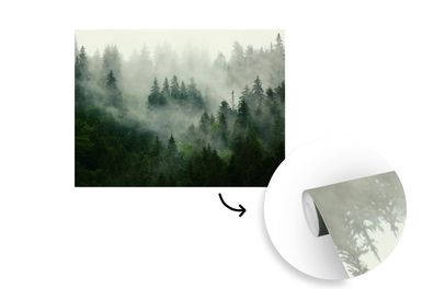 Tapete Fototapete - 325x260 cm Wald - Nebel - Bäume - Natur (Gr. 325x260 cm)