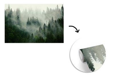 Tapete Fototapete - 400x240 cm Wald - Nebel - Bäume - Natur (Gr. 400x240 cm)