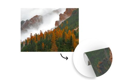 Tapete Fototapete - 320x240 cm Berg - Nebel - Wald (Gr. 320x240 cm)