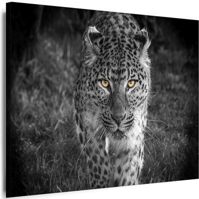 BILDER Leinwand Tiere Leopard Natur Wandbilder Myartstyle Top